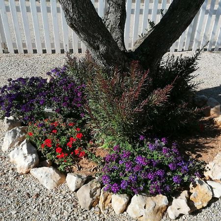 Il Patio Alghero ซานตา มาเรีย ลา ปาลมา ภายนอก รูปภาพ