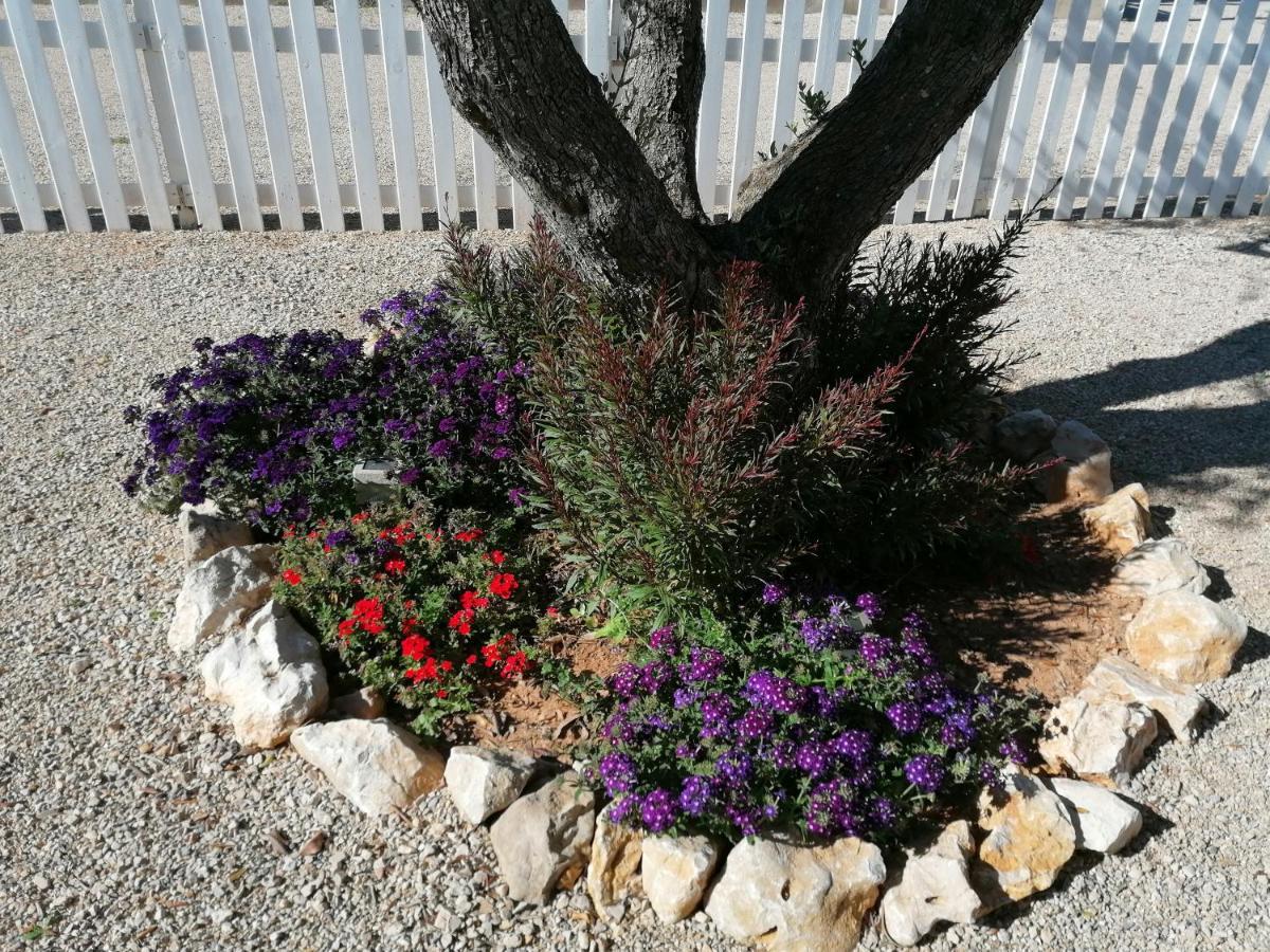 Il Patio Alghero ซานตา มาเรีย ลา ปาลมา ภายนอก รูปภาพ