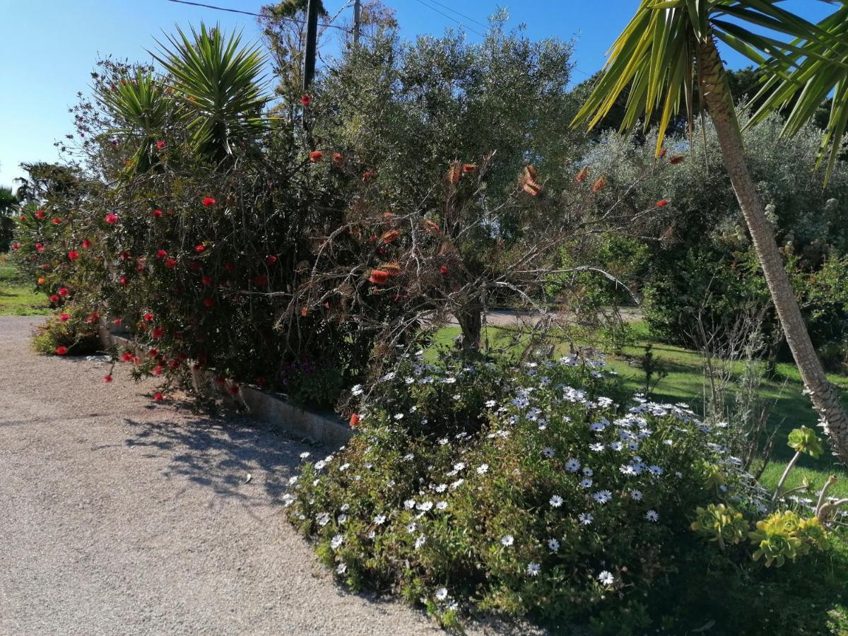Il Patio Alghero ซานตา มาเรีย ลา ปาลมา ภายนอก รูปภาพ
