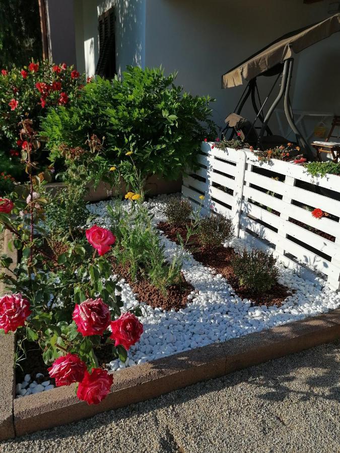 Il Patio Alghero ซานตา มาเรีย ลา ปาลมา ภายนอก รูปภาพ